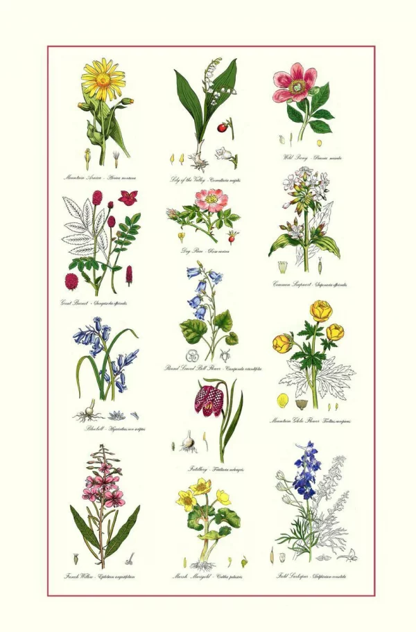 Cotton Tea Towel Botanic Garden