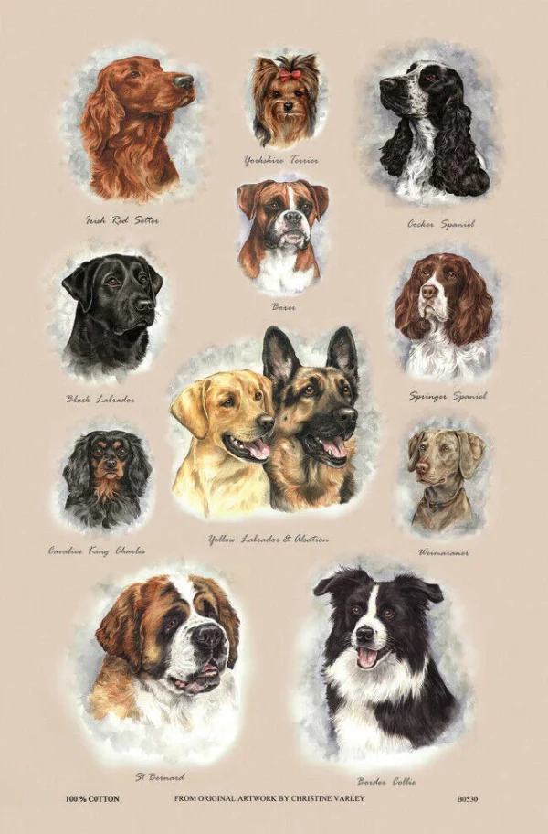 Cotton Tea Towel Dog Breeds by Samuel Lamont